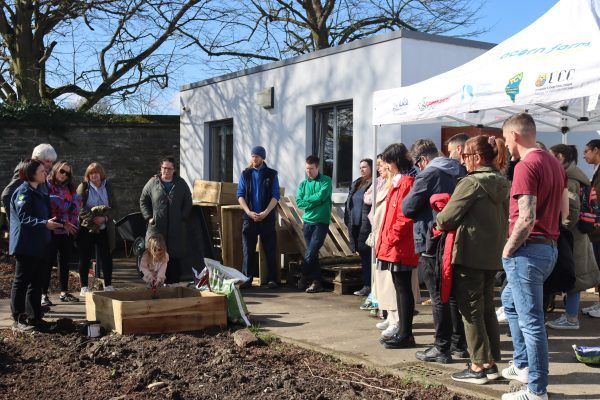 200 families turn over new leaf in 2024 with I Can Grow programme 